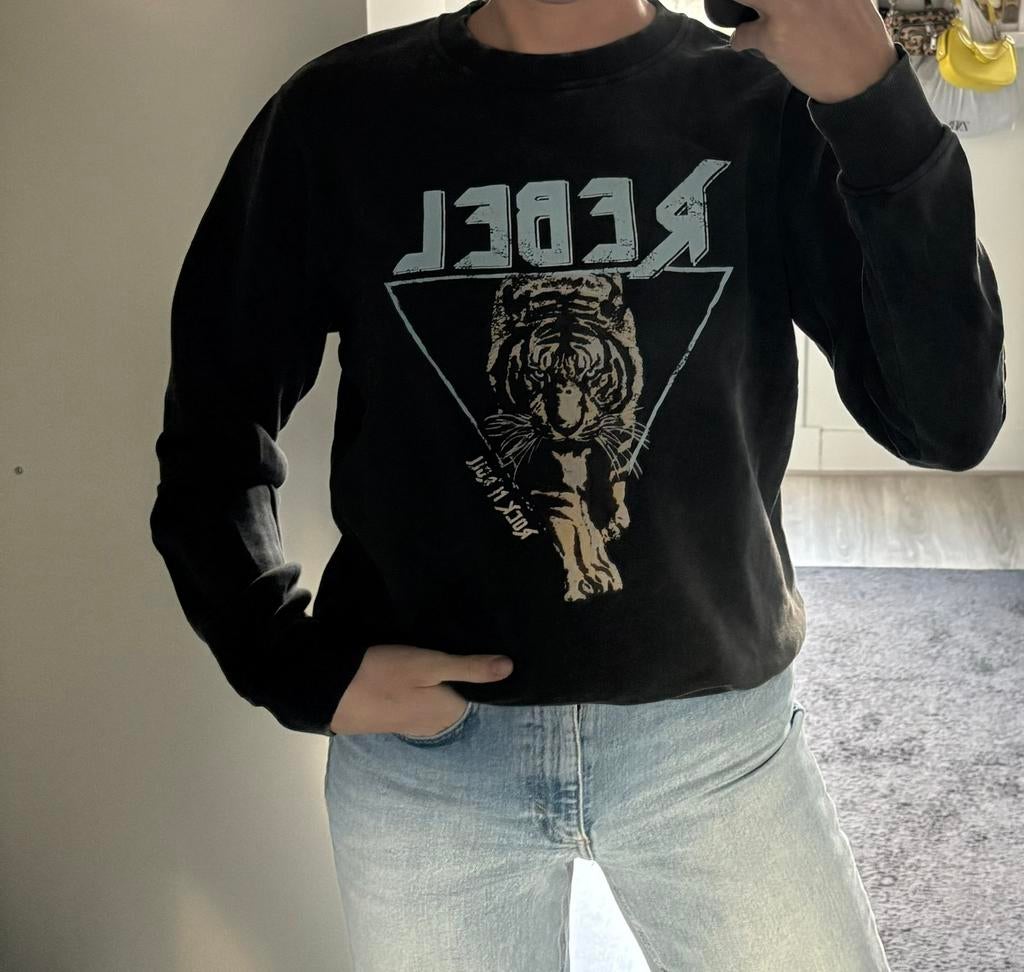 Costes sweater maat S, Ophalen of Verzenden, Zo goed als nieuw, Maat 36 (S)