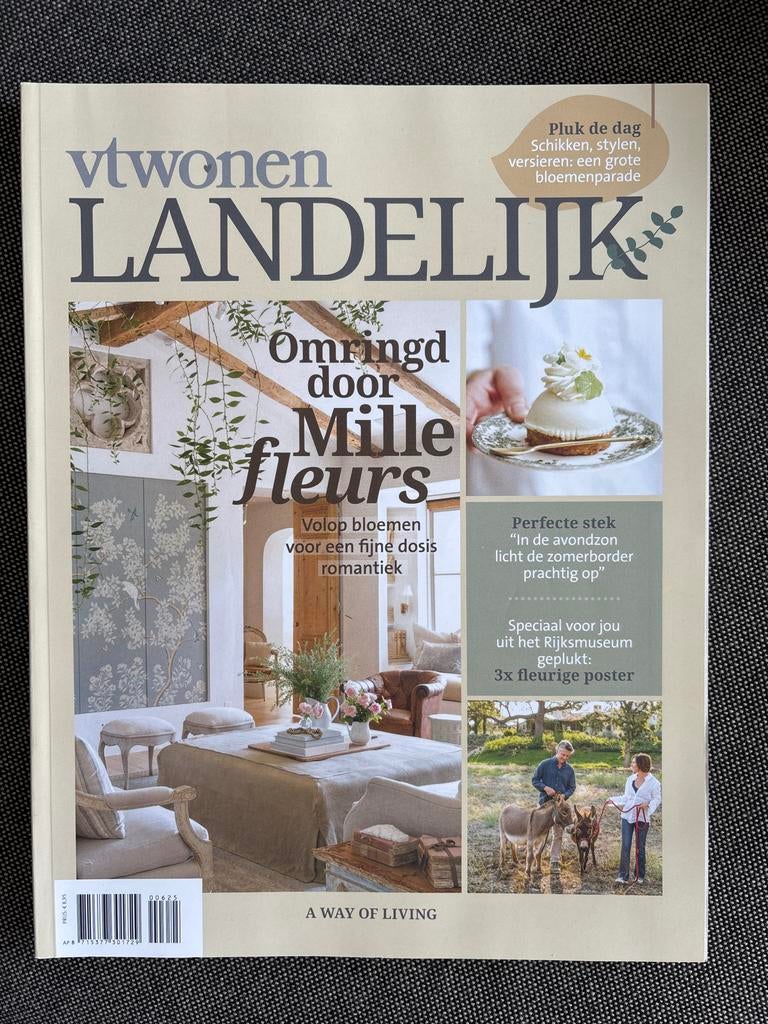 vtwonen Landelijk nummer 6-2025, Verzenden, Nieuw, Damesbladen