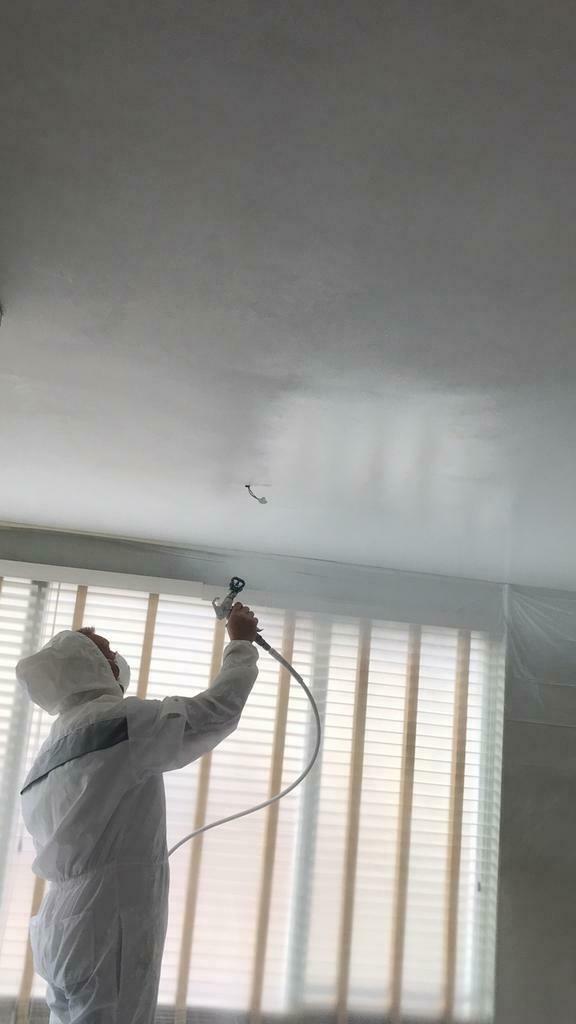 Airless Latex Spuiten  Wanden en Plafonds Den Haag en Omg., Diensten en Vakmensen, Schilders en Behangers, Garantie, Binnenschilderwerk