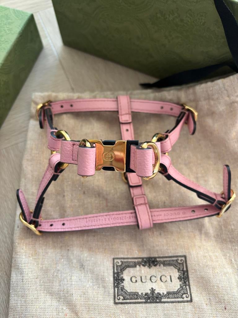 Gucci orgineel honden tuigje maat xs, Dieren en Toebehoren, Ophalen of Verzenden, Nieuw