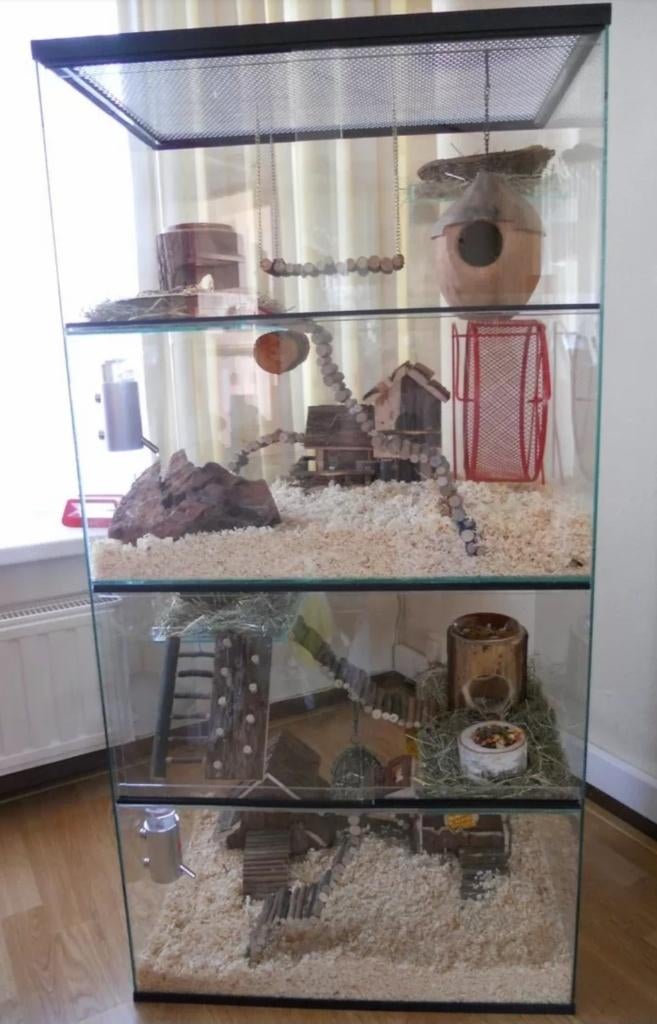 Terrarium voor degoe, muis, rat of hamster, Dieren en Toebehoren, Knaagdieren en Konijnen | Hokken en Kooien, Gebruikt, Kooi, 90 cm of meer