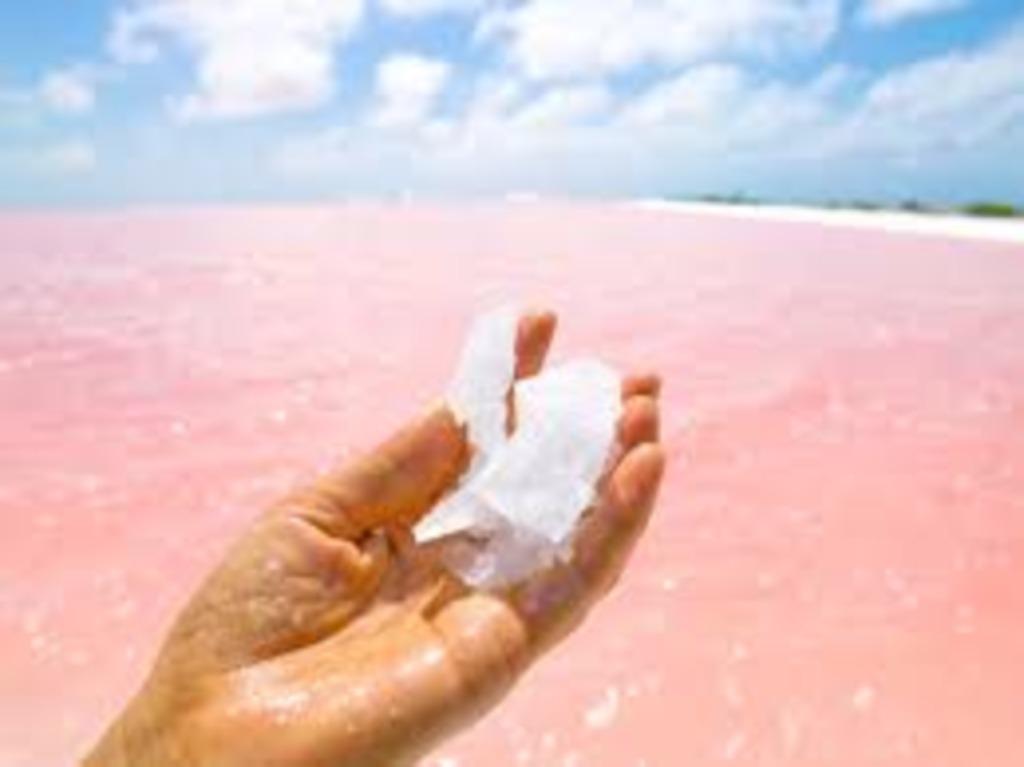 Bonaire! Leuk en gezellig bedrijf te koop, Ophalen of Verzenden