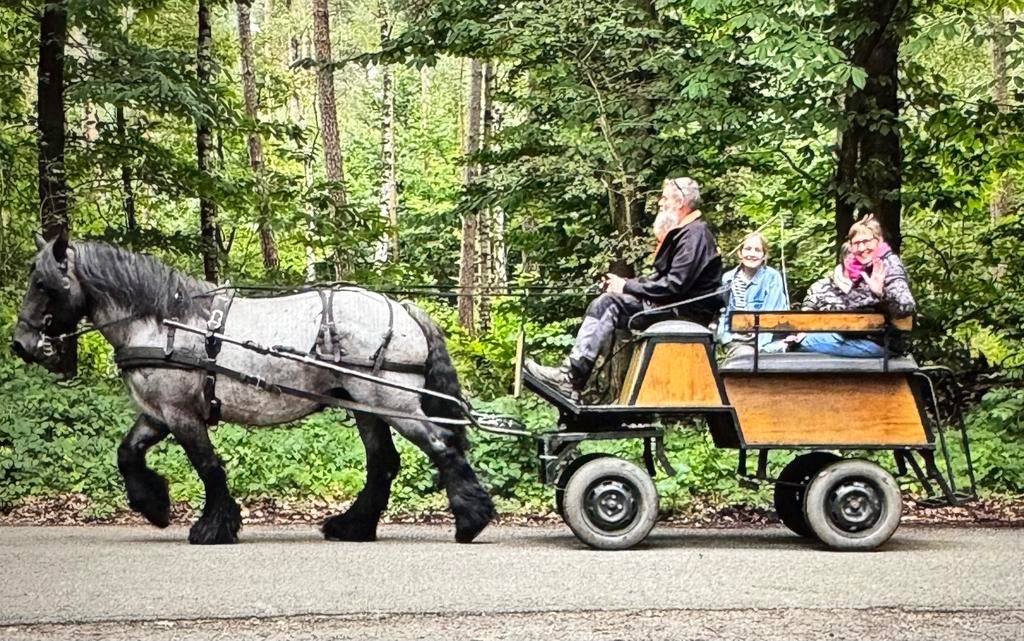 Menwagen, Ophalen of Verzenden, Overige soorten