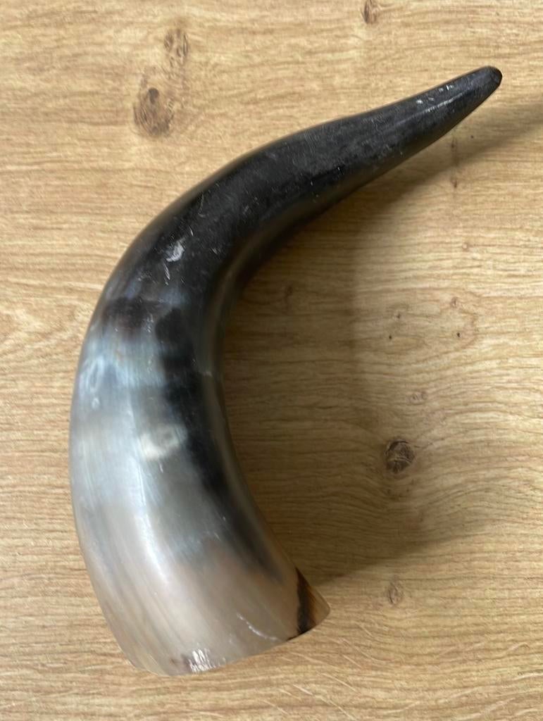 Hoorn van n stier Viking, Ophalen of Verzenden, Beeldje of Figuurtje