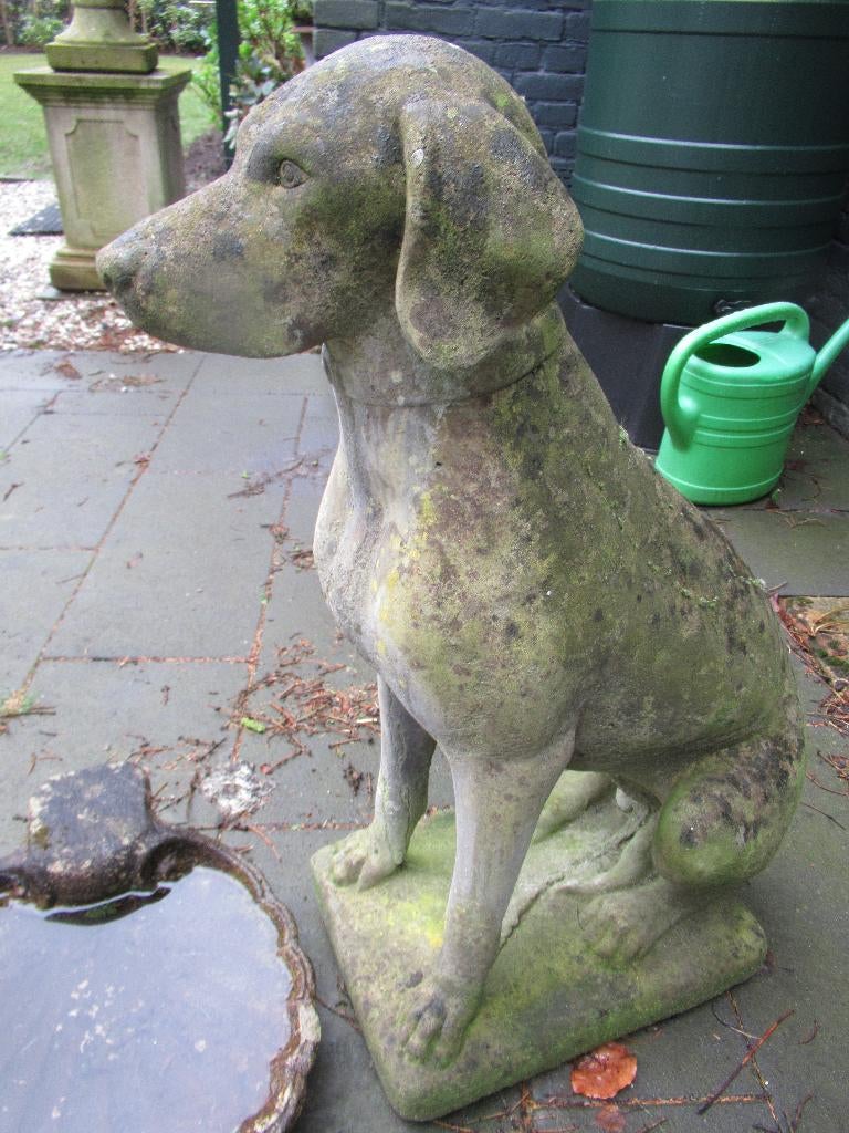 grote ZITTENDE JACHTHOND/POINTER/aged COTSWOLD ornament, Ophalen, Gebruikt, Steen, Dierenbeeld