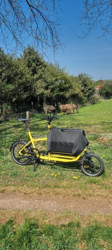 Muli Muskel Belt Fresh Lemon op voorraad!, Fietsen en Brommers, Overige merken, Verzenden, Nieuw, Info@cafecadans.nl