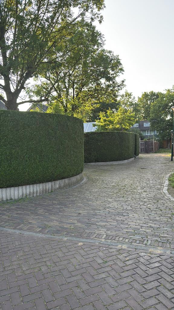 tuinman& hovenier, Garantie, Tuinonderhoud of Snoeiwerk