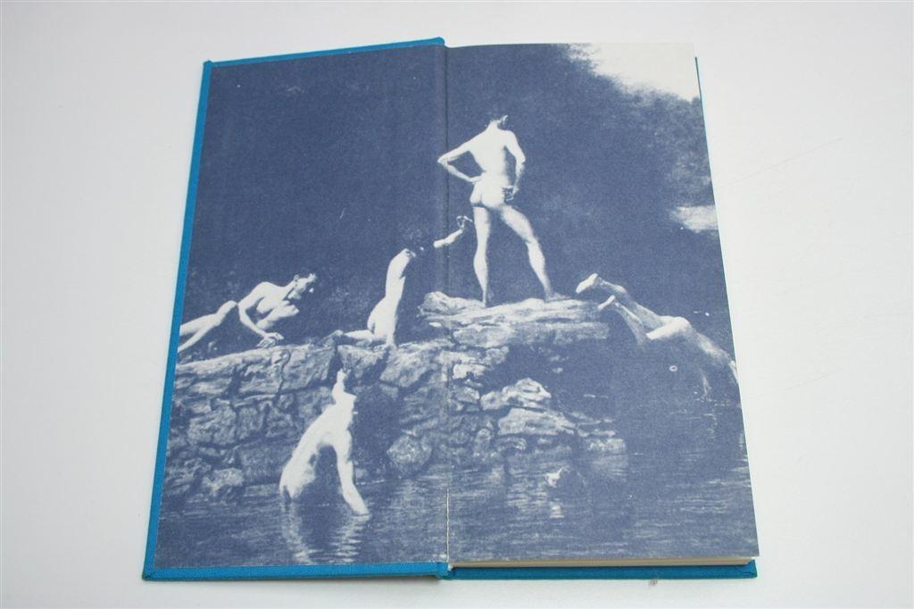Homo-erotisch Woordenboek — Arendo Joustra [1988], Boeken, Ophalen of Verzenden, Gelezen, Van Dale