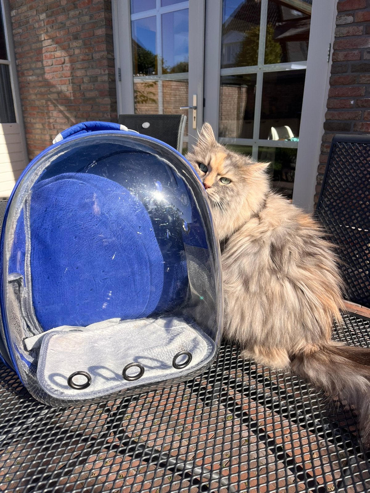 Katten-, honden rugzak, Ophalen of Verzenden, Gebruikt