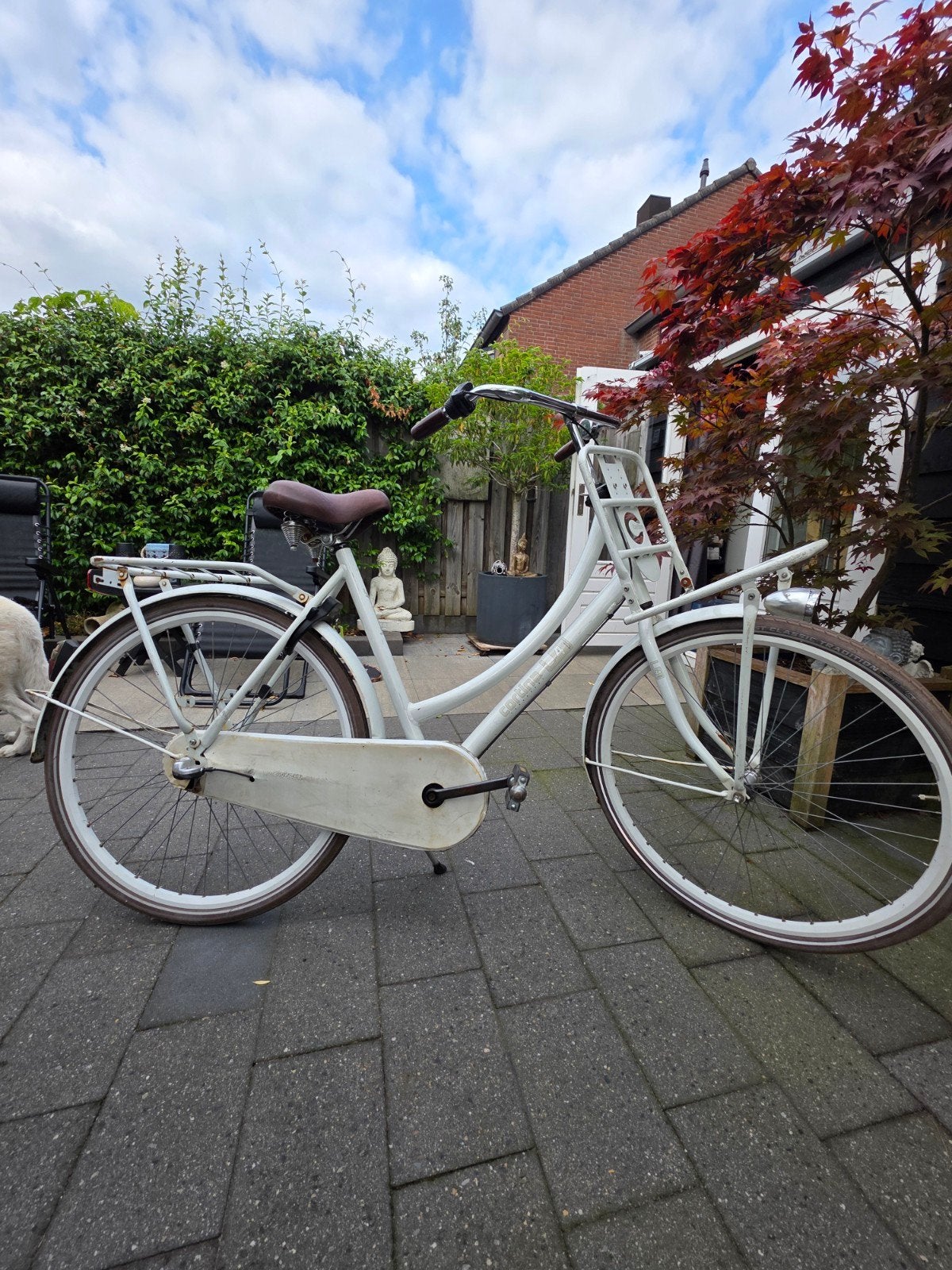 cortina damesfiets met voordrager en terugtraprem, Fietsen en Brommers, Overige merken, Terugtraprem, Ophalen of Verzenden, 53 tot 56 cm