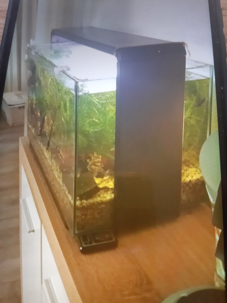 Aquarium Superfish 60 liter, Dieren en Toebehoren, Ophalen, Gebruikt, Superfish, Inclusief deksel