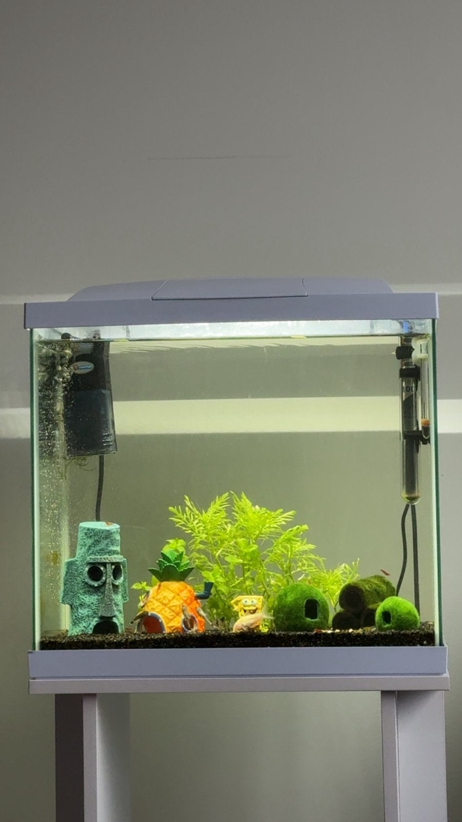 Super Fish start 50, Ophalen, Zo goed als nieuw, Leeg aquarium