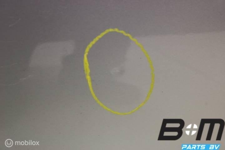 Portier rechts (bijrijderskant) VW Eos LA7W 1Q0831056T, Gebruikt