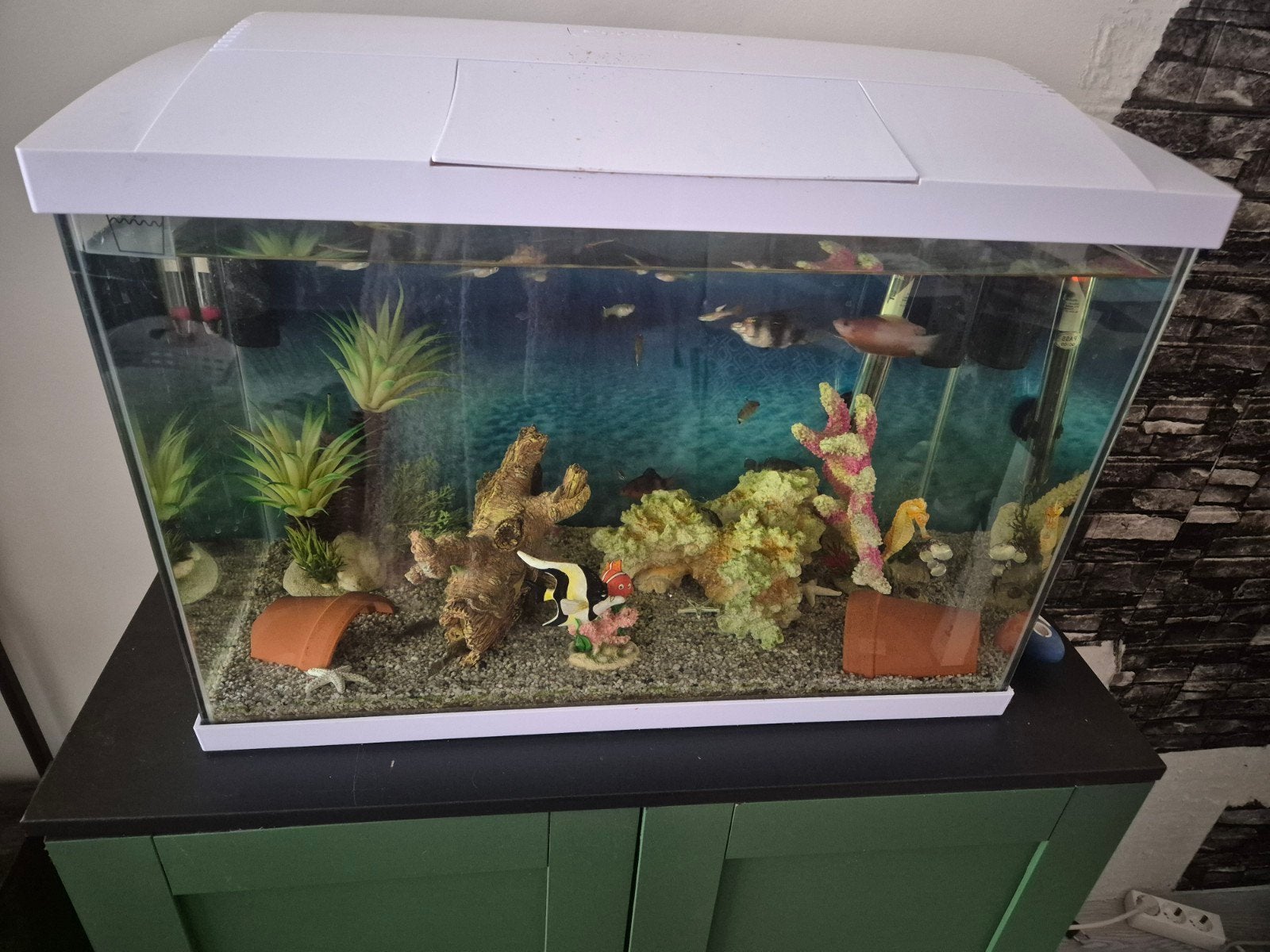 aquarium, Ophalen, Pomp, Zo goed als nieuw, Gevuld zoetwateraquarium