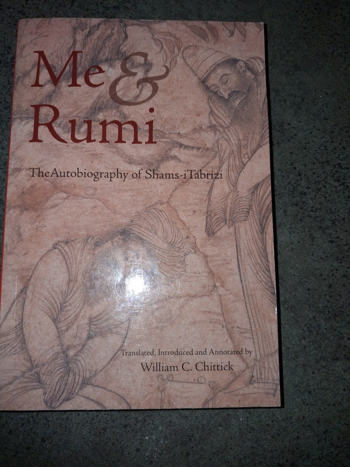 Me & Rumi., Boeken, Islam, Ophalen of Verzenden, Zo goed als nieuw, Shams-I Tabrizi