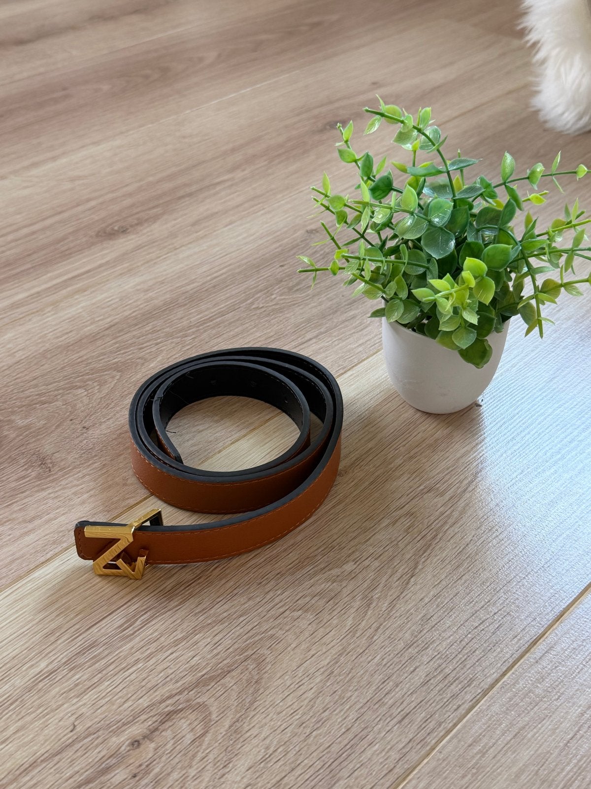Zadig & Voltaire Riem - 1 Meter Lang - Nieuwstaat, Verzenden, Nieuw, Bruin, 100 cm of meer