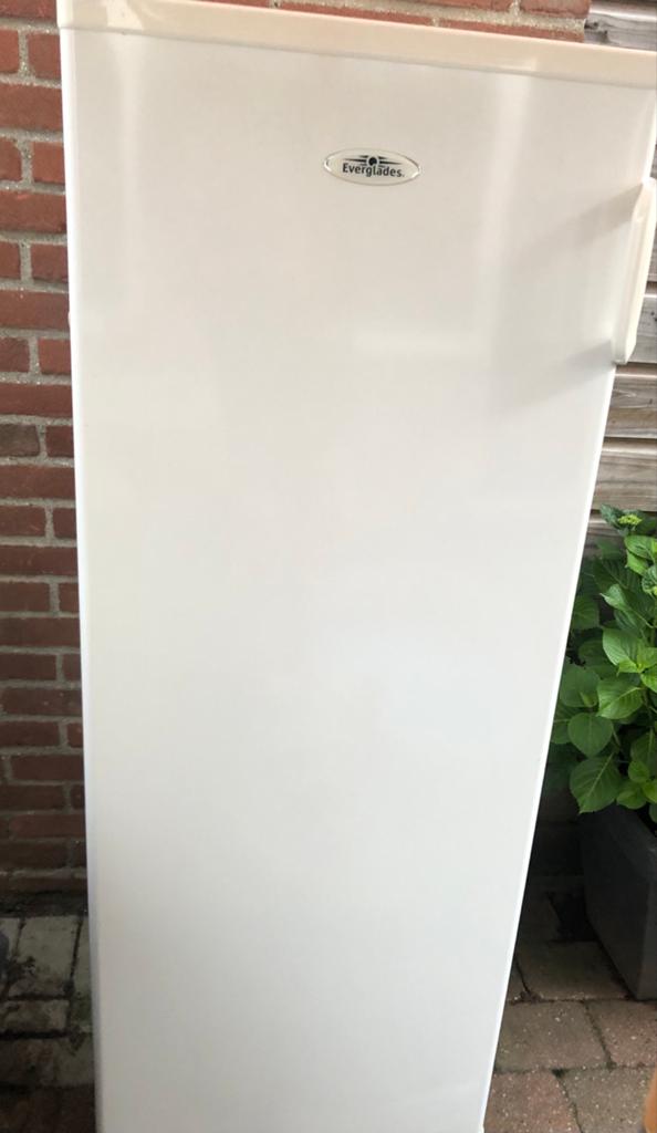Everglades vriezer, Witgoed en Apparatuur, Koelkasten en IJskasten, Ophalen, Gebruikt, Met aparte vriezer, 140 tot 160 cm