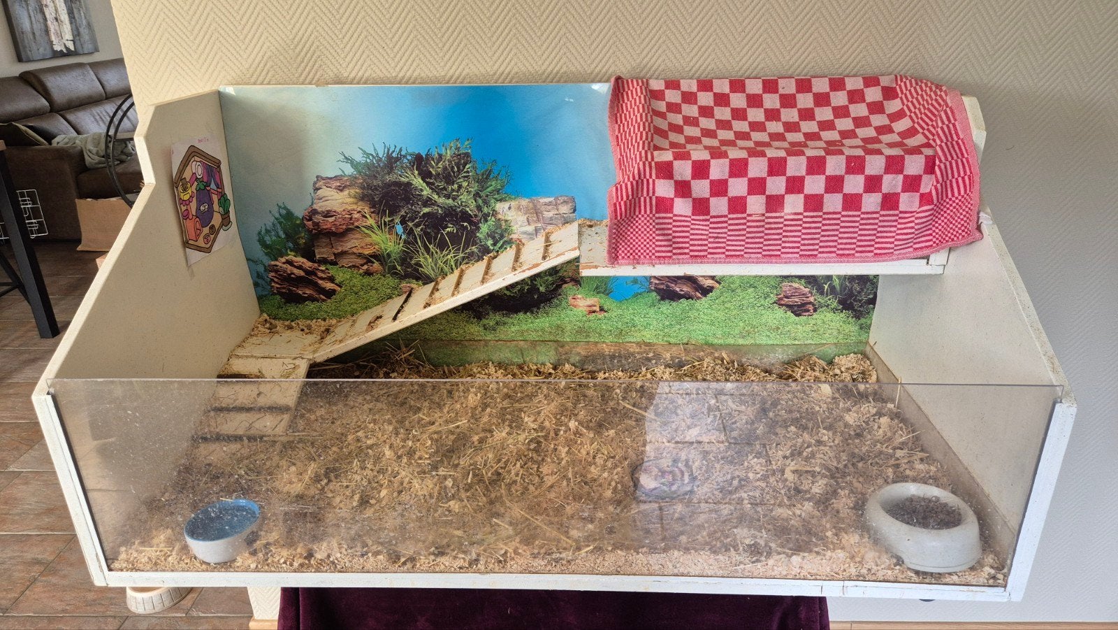 Grote caviakooi, Dieren en Toebehoren, Knaagdieren en Konijnen | Hokken en Kooien, Ophalen, 110 cm of meer, Kooi, Minder dan 60 cm