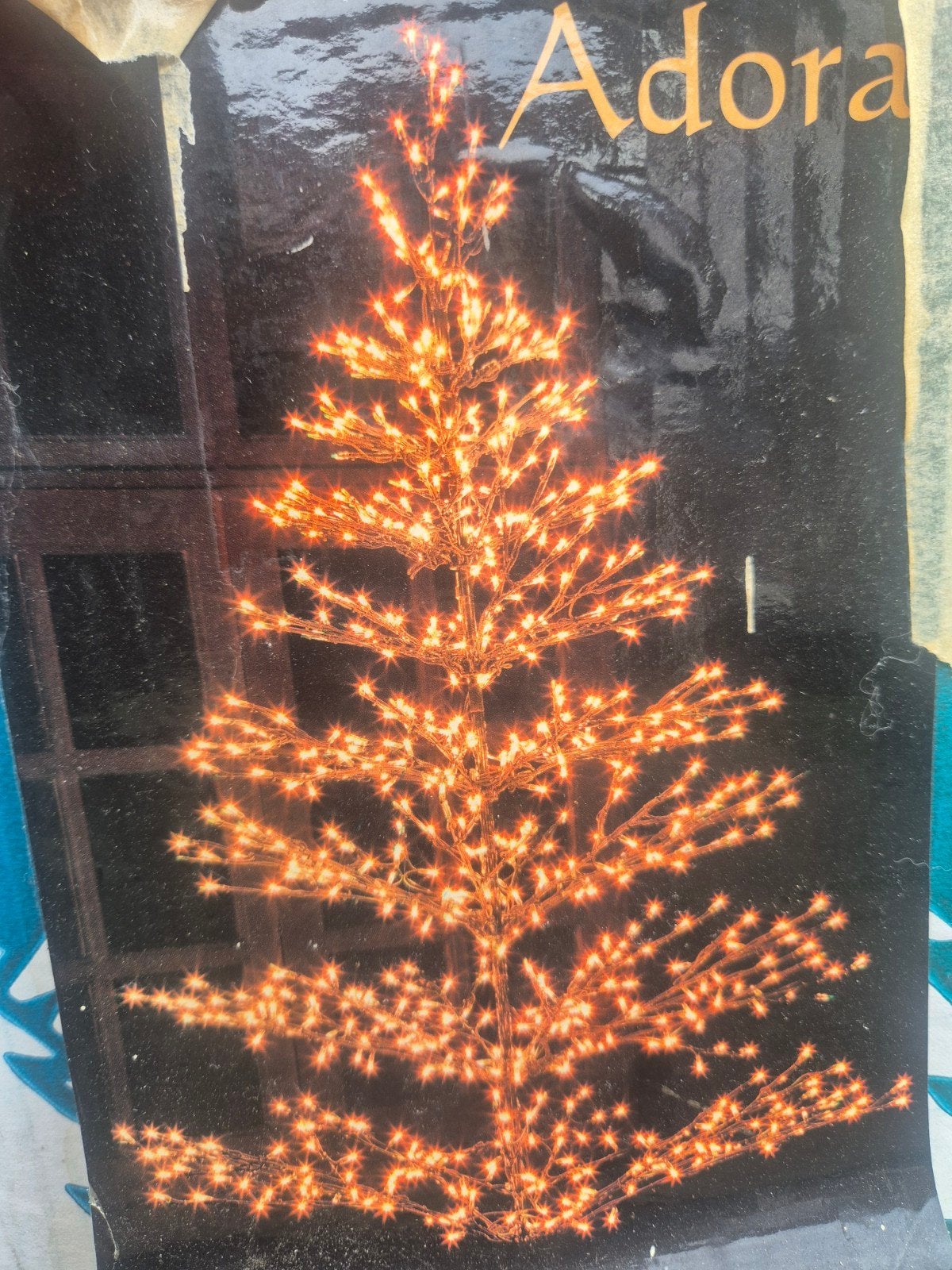 2x kerstbomen voor buiten!, Ophalen