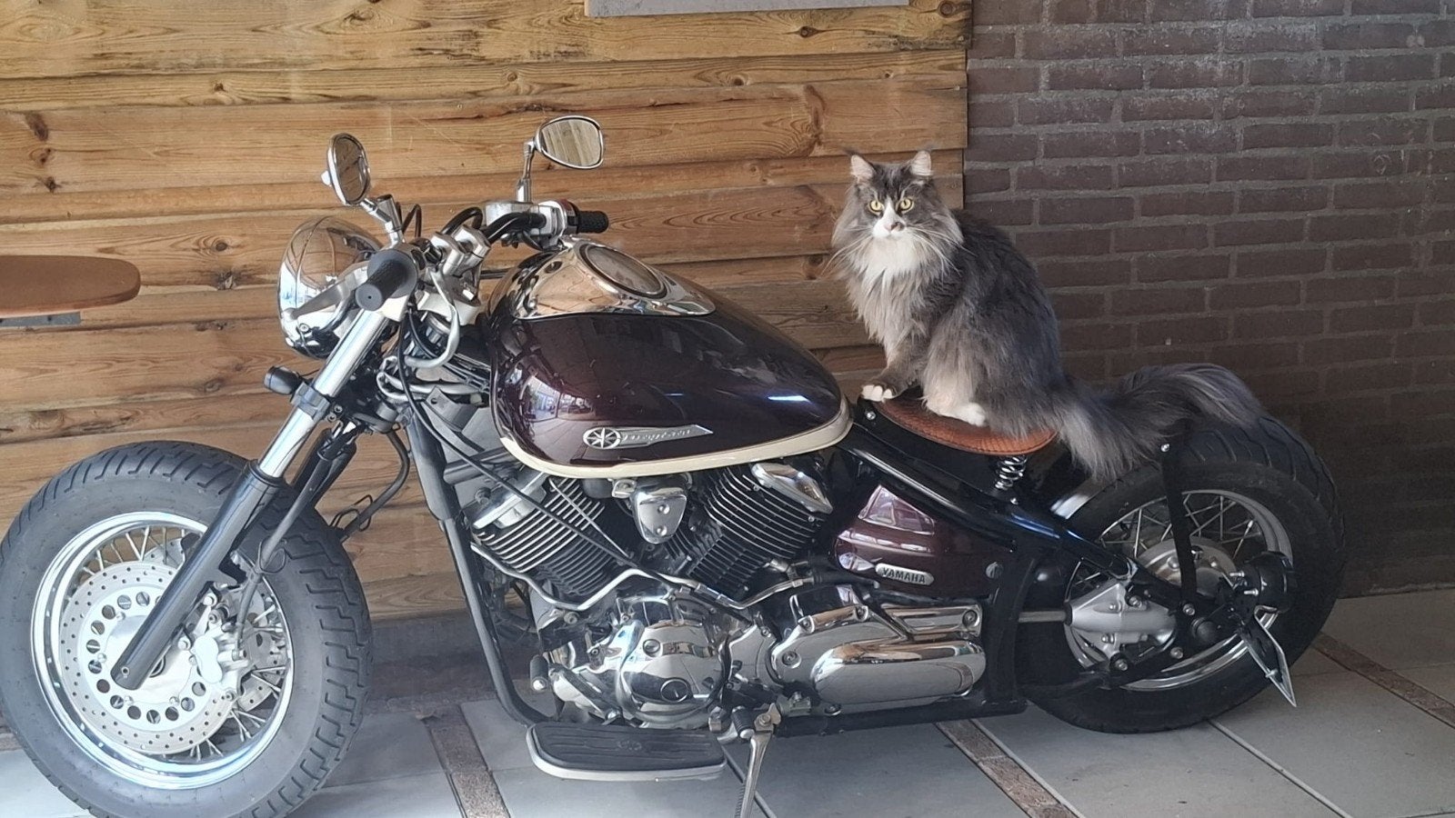 Yamaha Dragstar 1100 Bobber, 2 cilinders, Chopper, Particulier