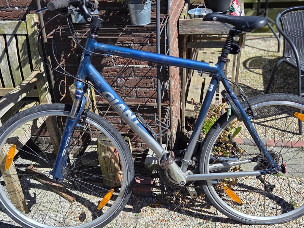 Giant Terrago 3.0 Mountainbike - Blauw/Zilver, Ophalen, Gebruikt, Velgrem, Giant