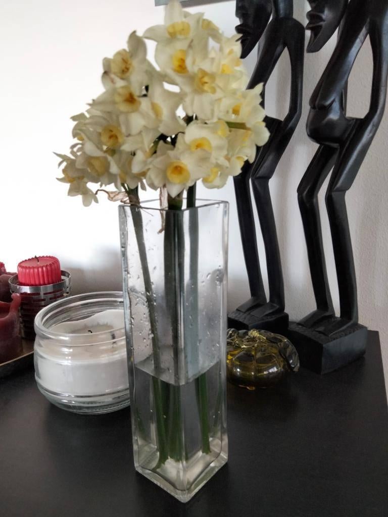 Bloemenvaas, Overige kleuren, Nieuw, Ophalen of Verzenden, Glas