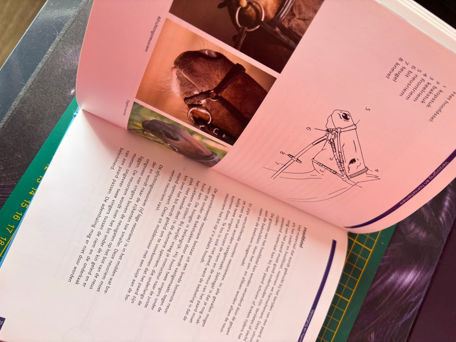 FNRS Handboek: Leer paardrijden met plezier + Proevenboek, Ophalen of Verzenden, Zo goed als nieuw, Overige niveaus