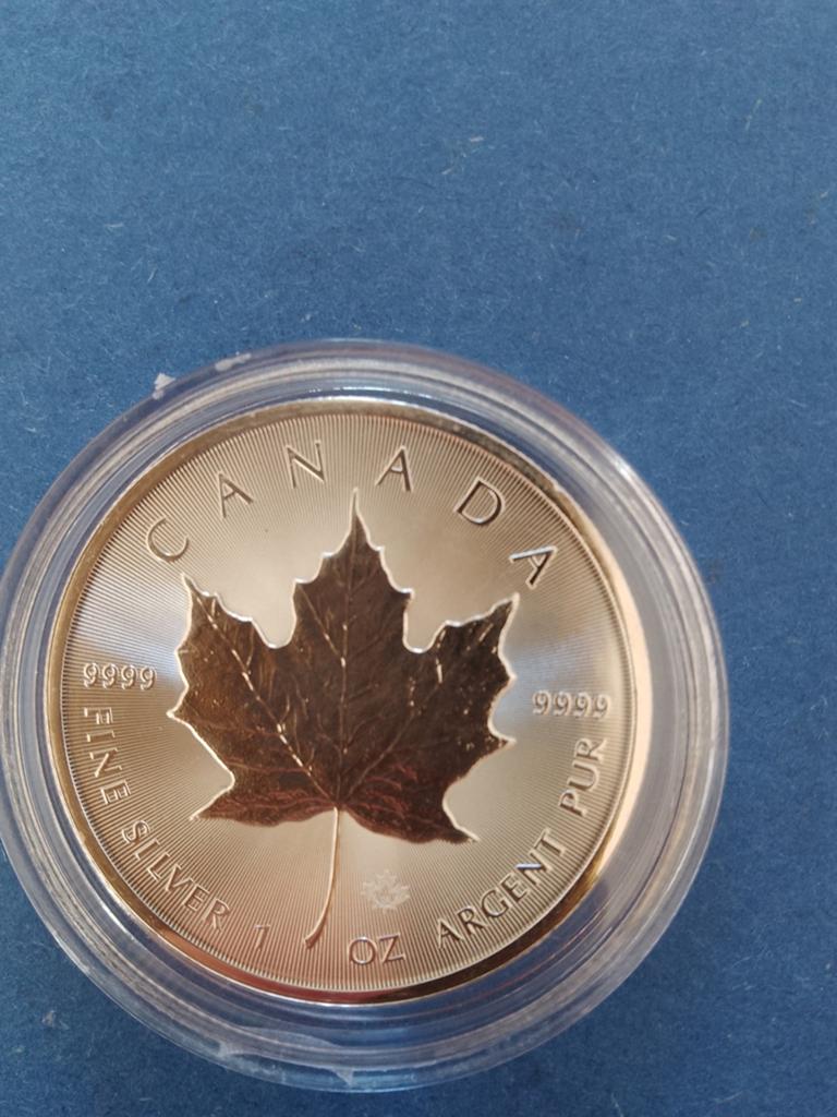Maple Leaf 2026 1 oz zilver, Ophalen of Verzenden, Zilver