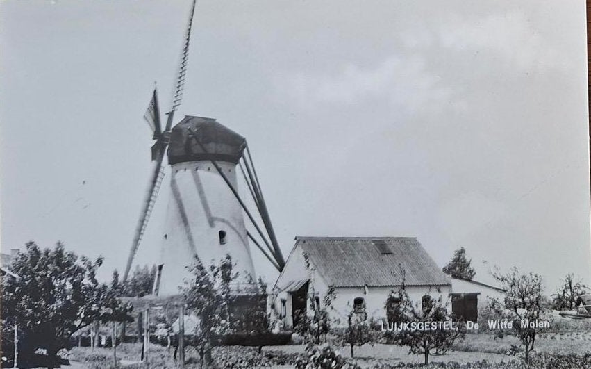 Luyckgestel- De Witte Molen, Verzenden, 1940 tot 1960, Ongelopen, Noord-Brabant