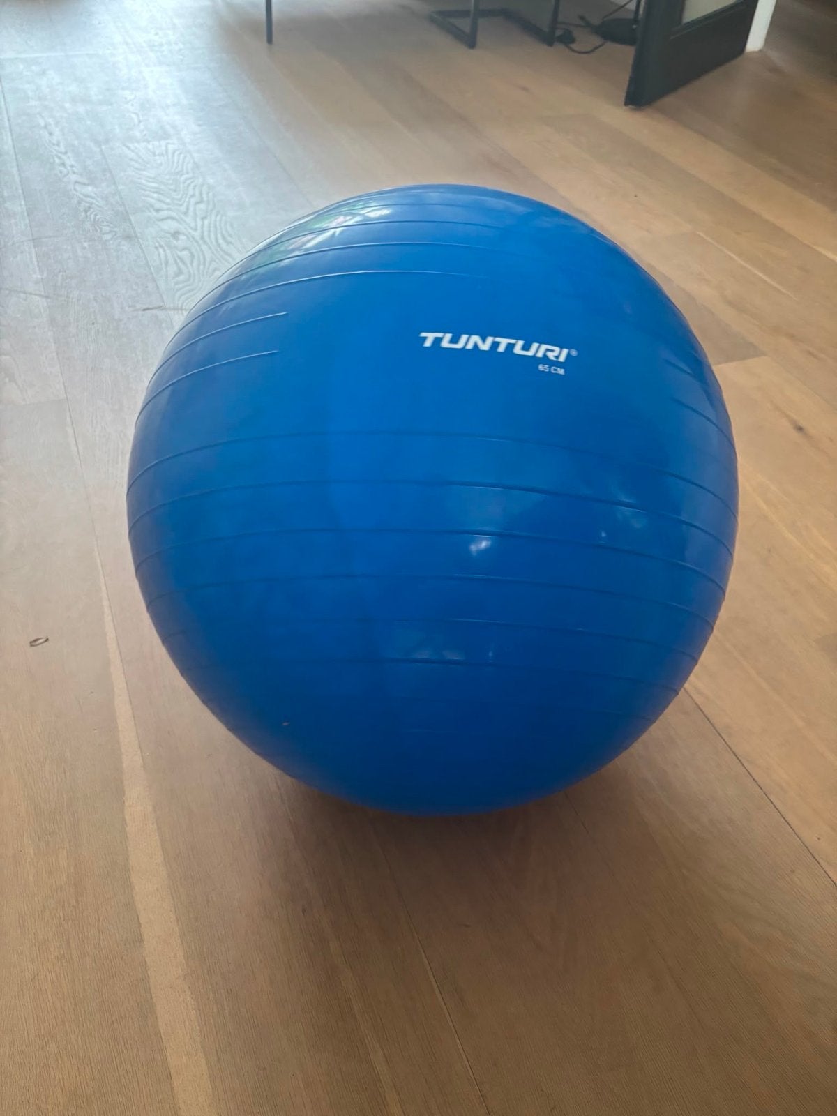 Tunturi Fitnessbal 65 cm - Blauw, Ophalen, Zo goed als nieuw, Buik, Fitnessbal