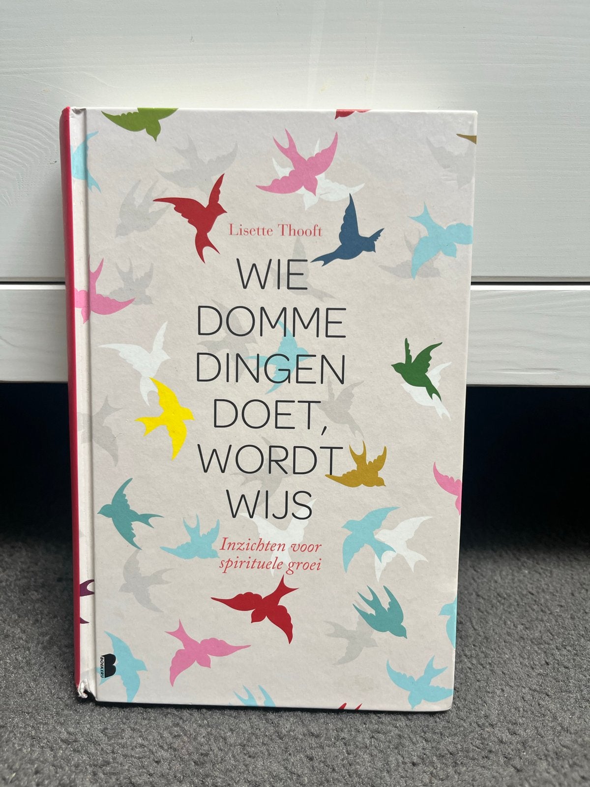 Wie domme dingen doet, wordt wijs - Lisette Thooft, Ophalen of Verzenden, Zo goed als nieuw, Spiritualiteit algemeen, Achtergrond en Informatie
