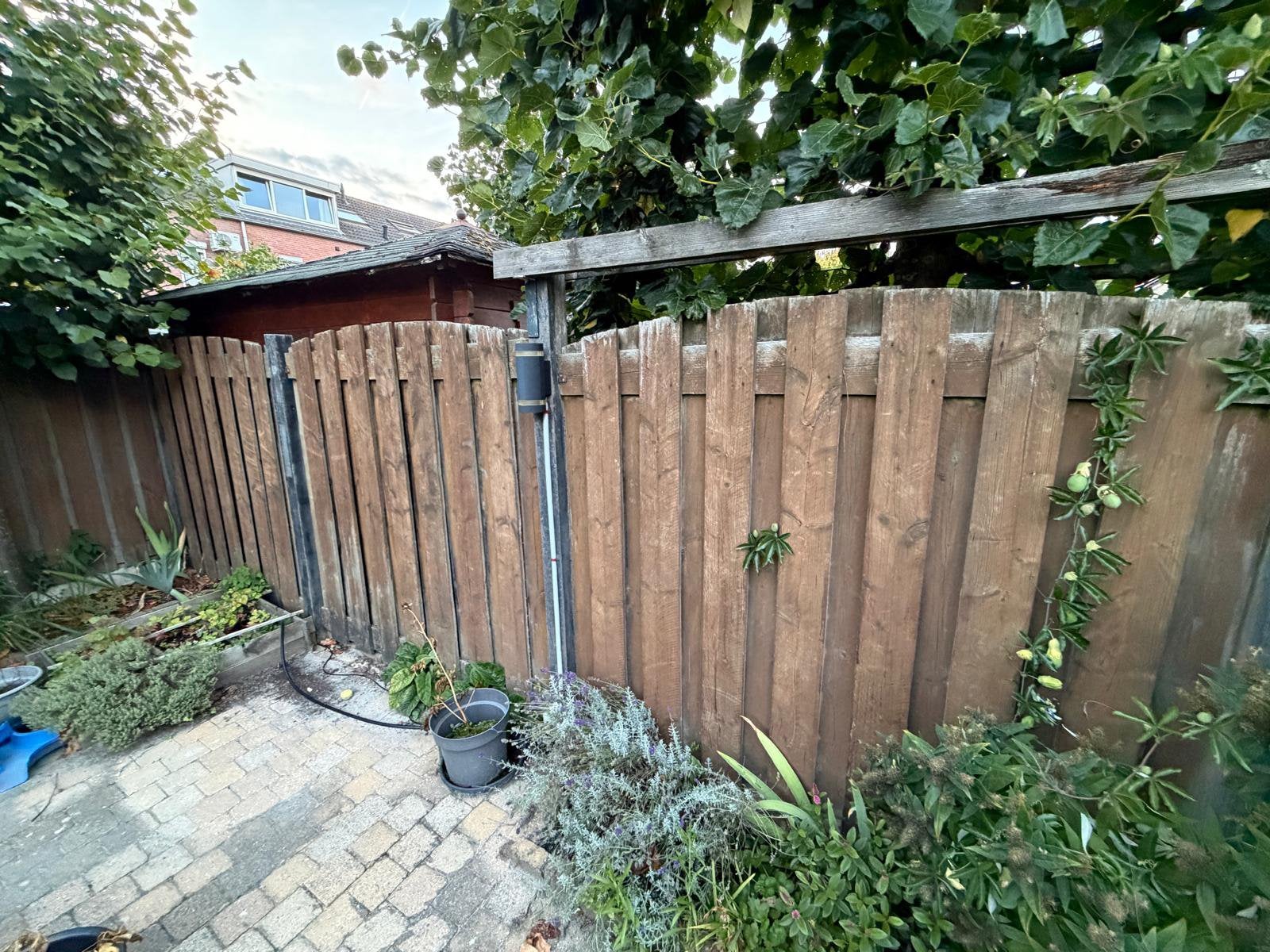Complete schutting voor achtertuin (180x180cm) – gratis, Ophalen, 1 tot 2 meter, Minder dan 3 meter, Zo goed als nieuw