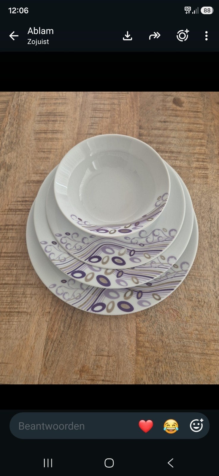 porselein servies set (12 personen), Ophalen of Verzenden, Zo goed als nieuw, Porselein, Overige stijlen