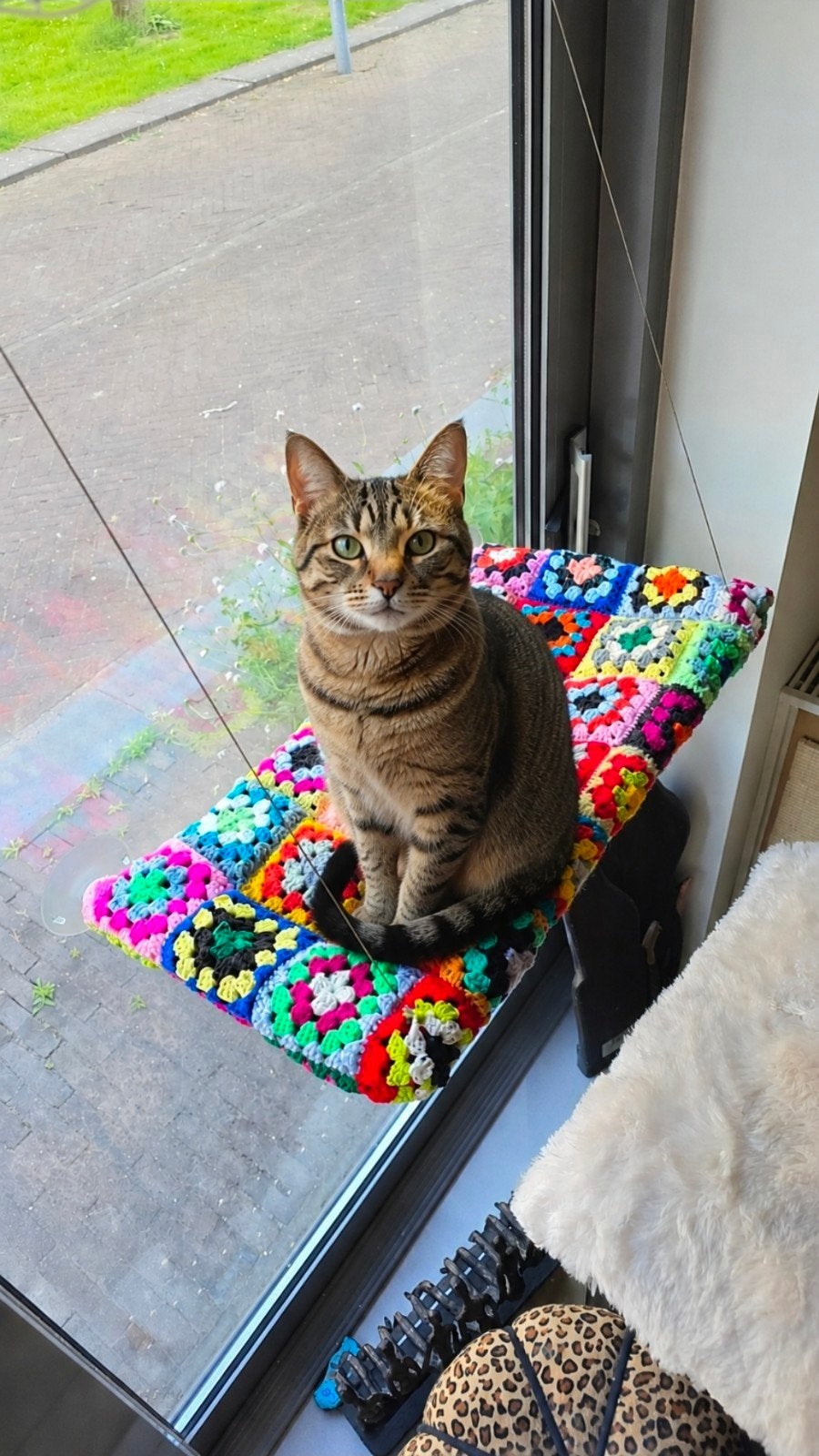 Hangmat katten raam, Ophalen of Verzenden, Nieuw, Wol