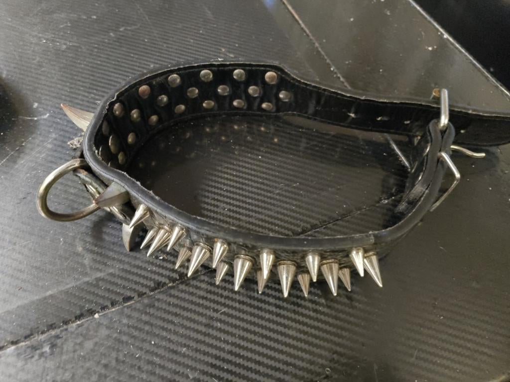 Honden riem punten, Ophalen