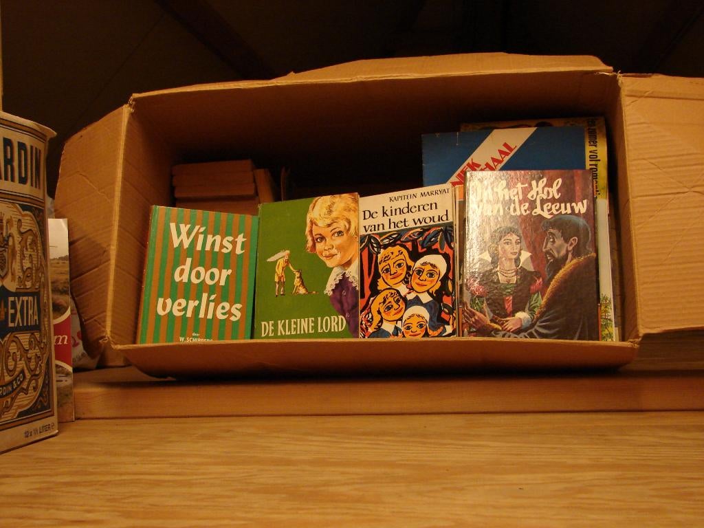 Grote Doos vol met ALLERLEI Boeken uit Jaren '50-'60, Ophalen, Zo goed als nieuw