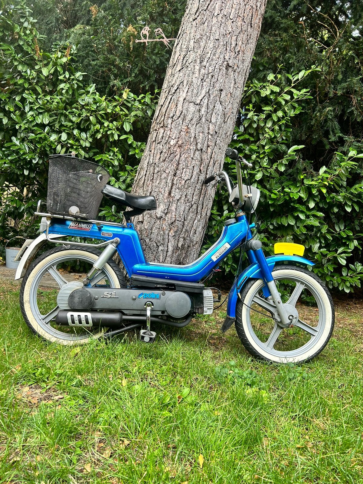 Piaggio Si, Gebruikt, 1 versnellingen, Maximaal 45 km/u, Ciao