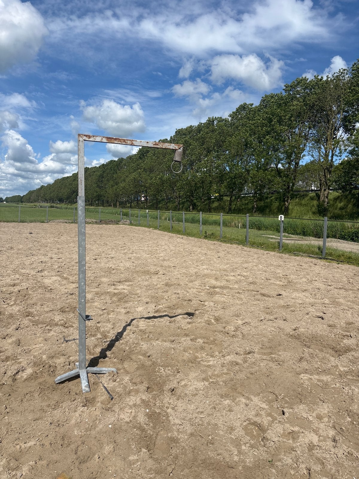 Ringsteekpaal, Ophalen of Verzenden, Overige soorten
