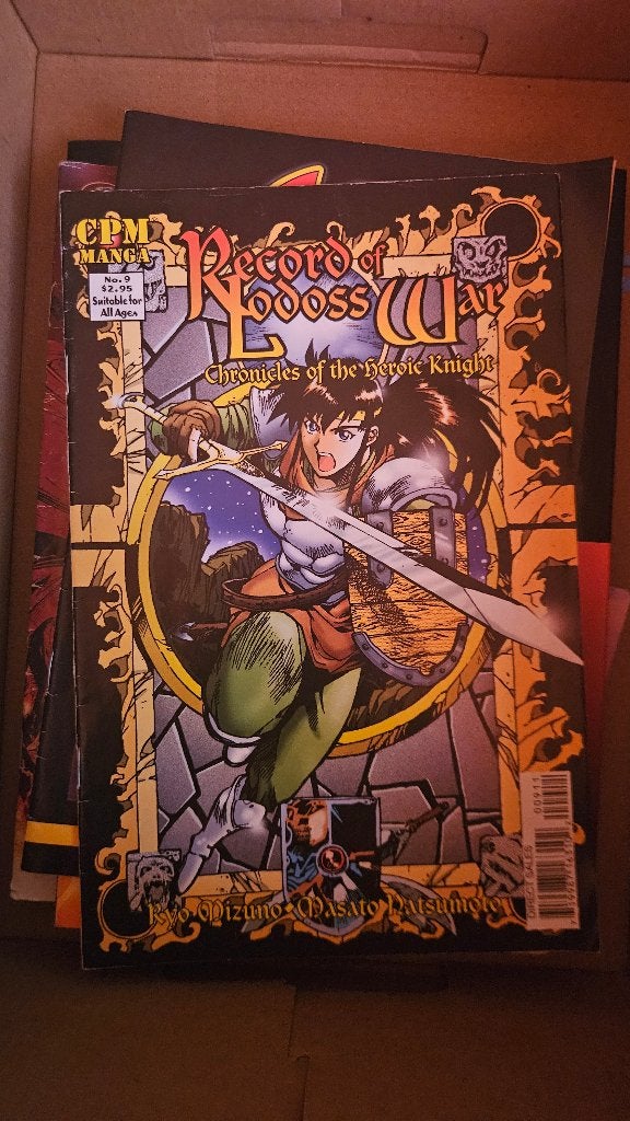 Record of Lodoss War #9 - Chronicles of the Heroic Knight, Eén stripboek, Zo goed als nieuw, Ryo Mizuno, Ophalen of Verzenden
