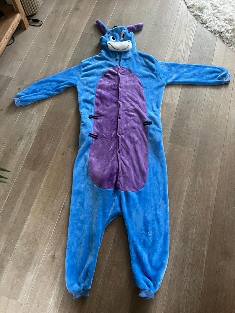Onesie / verkleedpak Iejoor (Winnie de Poe) Maat M/L, Kleding | Dames, Carnavalskleding en Feestkleding, Ophalen of Verzenden