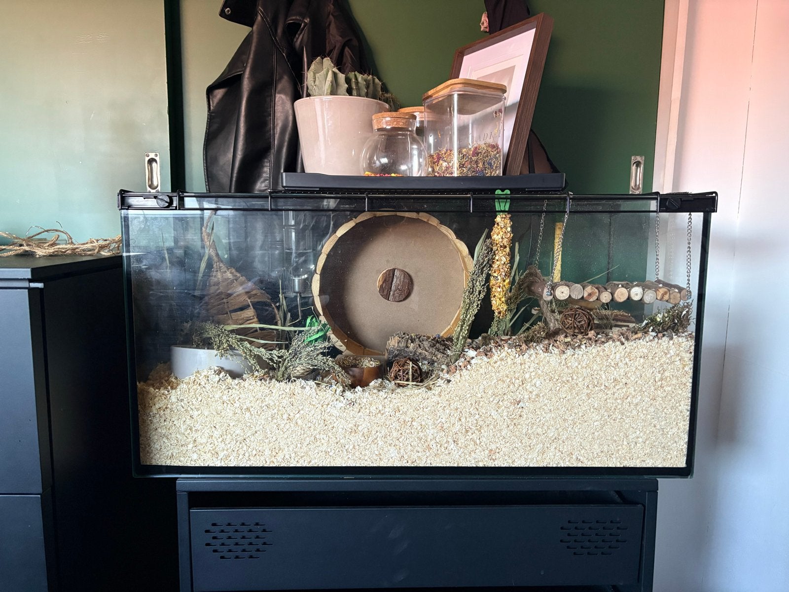 Terrarium/kooi, Dieren en Toebehoren, Kooi, Chinchilla, Minder dan 75 cm, Zo goed als nieuw