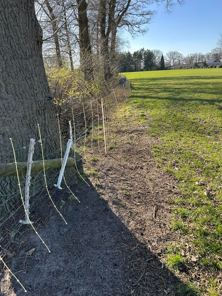Goeie Schapen afrastering netten te koop!, Dieren en Toebehoren, Meerdere dieren, Schaap