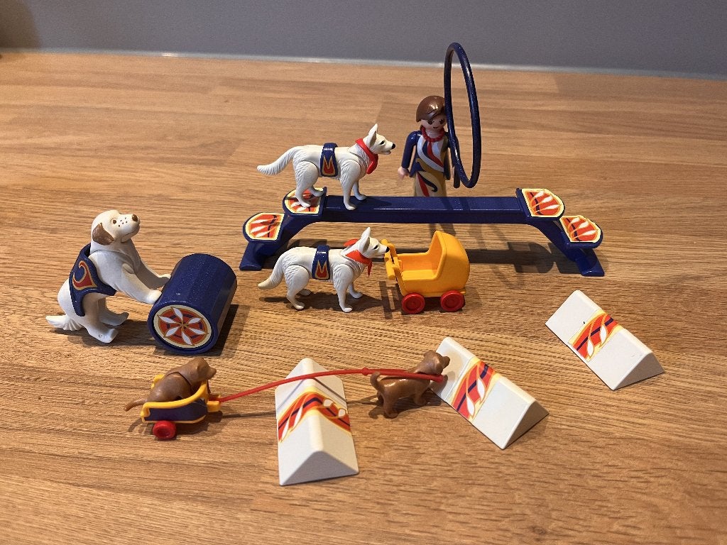 PLAYMOBIL 4237 Hondendressuur, Gebruikt, Complete set, Overige typen, Ophalen of Verzenden