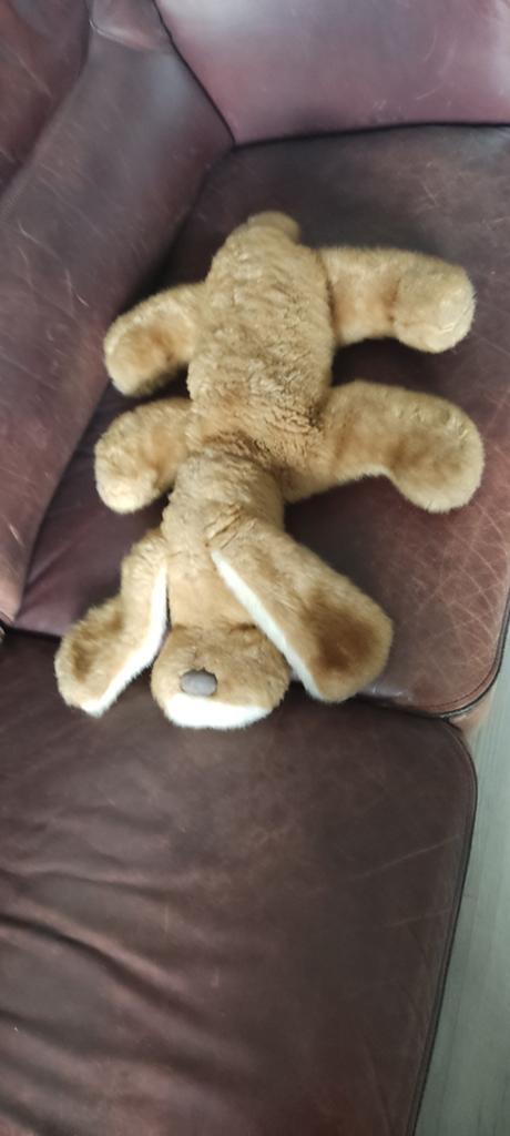 Honden knuffel, Ophalen of Verzenden, Gebruikt, Hond