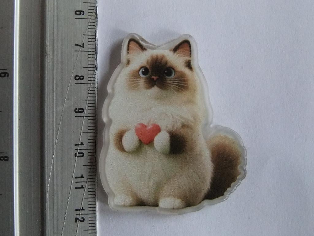 pin (speltje) love raskatje, Verzamelen, Verzenden, Nieuw, Overige onderwerpen