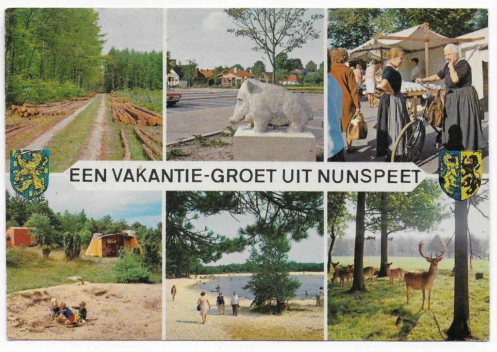 Nunspeet Gelopen Ansichtkaart ( B6218 ), Ophalen of Verzenden, 1980 tot heden, Gelopen, Gelderland