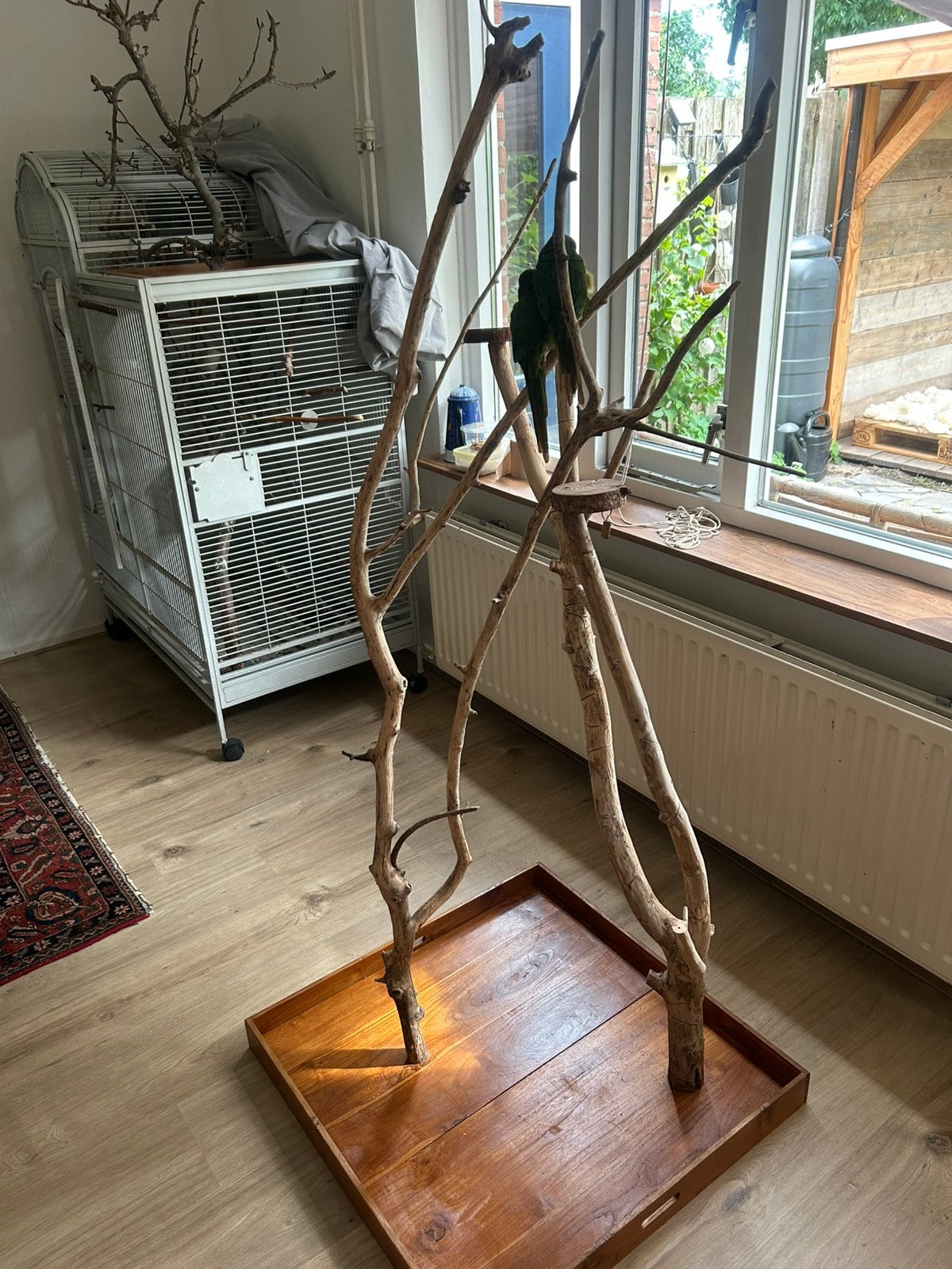 Vogelspeelboom (papegaaienboom/zitstok/speelboom), Ophalen, Zo goed als nieuw