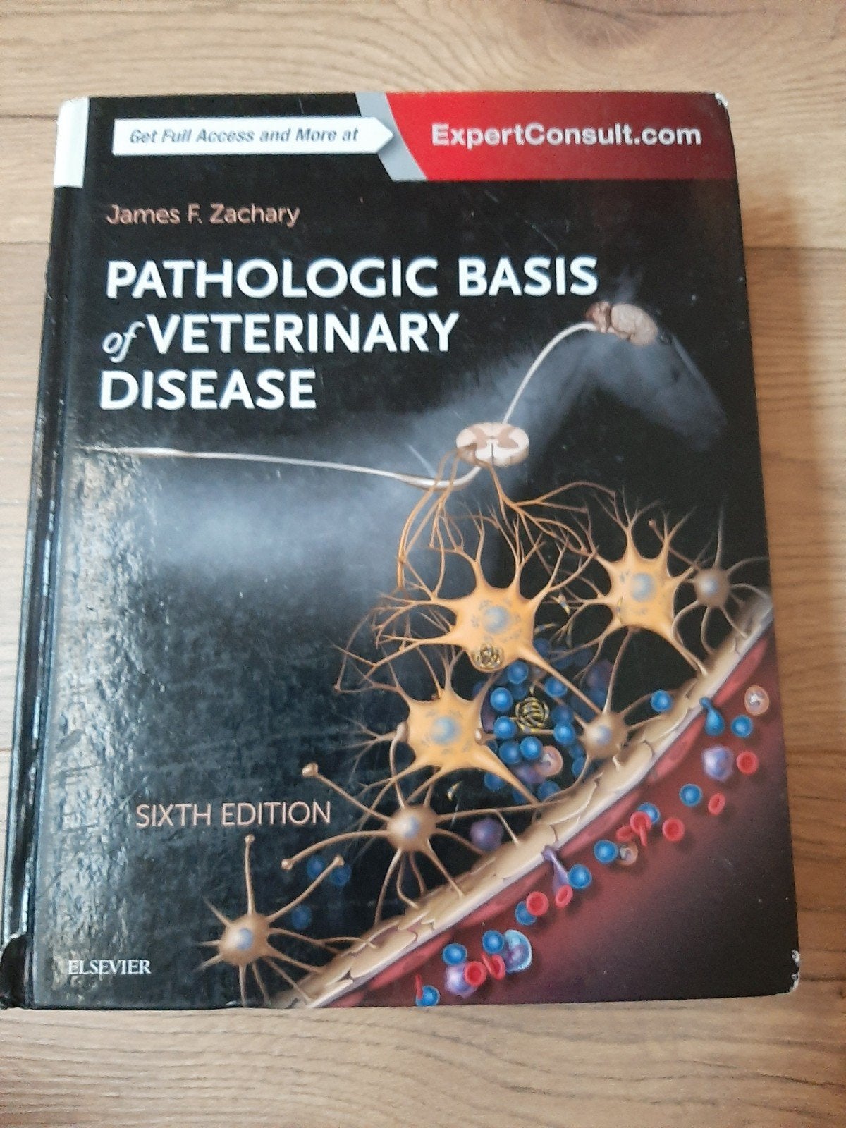 Pathologic Basis of Veterinary Disease - Zesde Editie, Gelezen, Ophalen of Verzenden, WO, Beta
