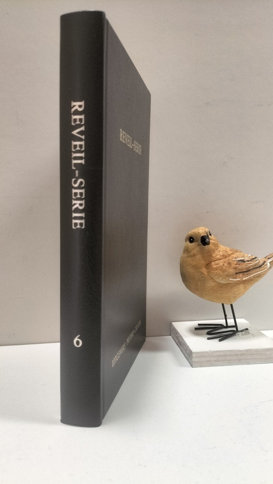 Reveil Serie deel 6, Boeken, Ophalen of Verzenden, Gelezen, Christendom | Protestants