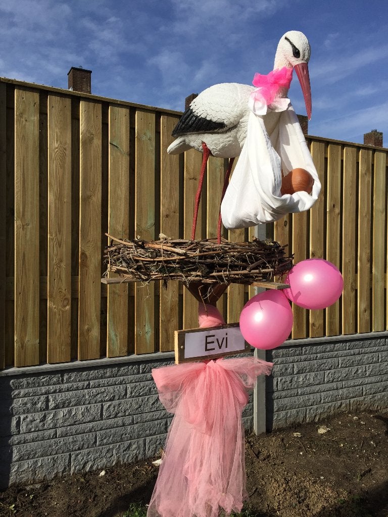 Geboortebord OOIEVAAR op NEST huren huur babyspullen meisje, Ophalen, Zo goed als nieuw, Geboortebord